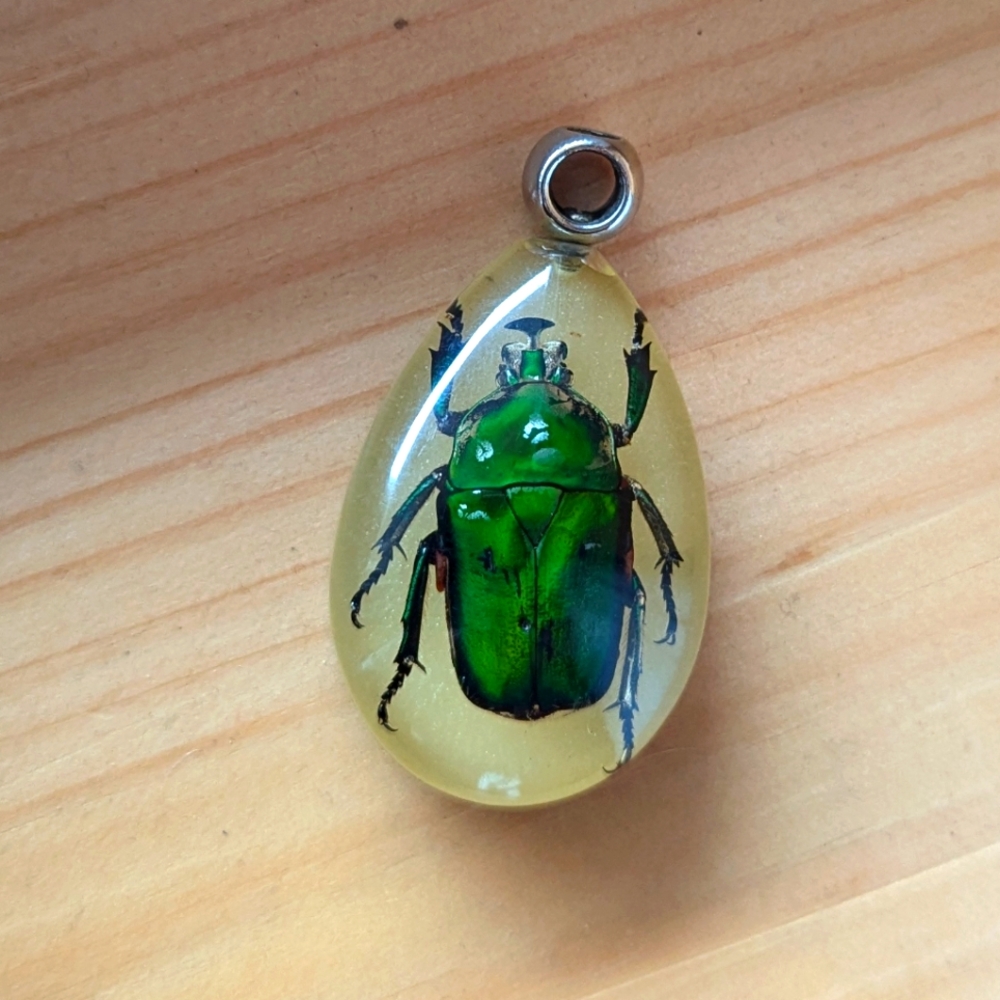 2/$30- Insect Charm